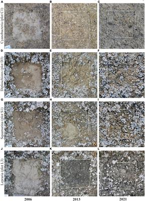 Patterns in biocrust recovery over time in semiarid southeast Spain